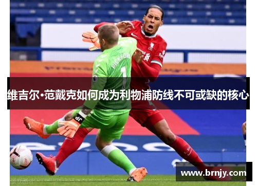 维吉尔·范戴克如何成为利物浦防线不可或缺的核心 维吉尔·范戴克如何成为利物浦防线不可或缺的核心