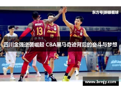 四川金强逆袭崛起 CBA黑马奇迹背后的奋斗与梦想 四川金强逆袭崛起 CBA黑马奇迹背后的奋斗与梦想
