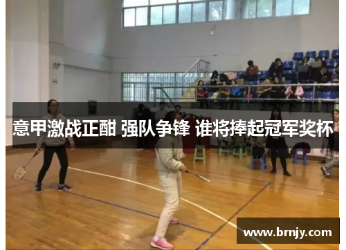 意甲激战正酣 强队争锋 谁将捧起冠军奖杯 意甲激战正酣 强队争锋 谁将捧起冠军奖杯