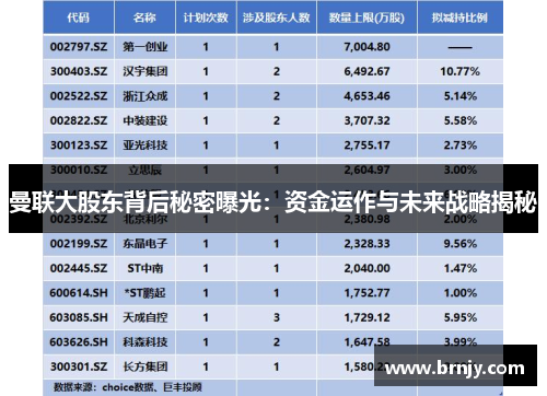 曼联大股东背后秘密曝光:资金运作与未来战略揭秘 曼联大股东背后秘密曝光:资金运作与未来战略揭秘